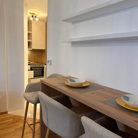 Apartman Aleksic شقة *