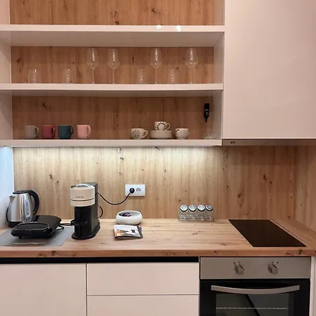Apartman Aleksic شقة بال