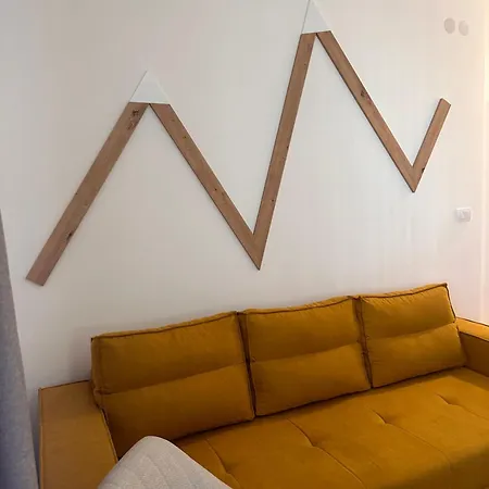 Apartman Aleksic * بال